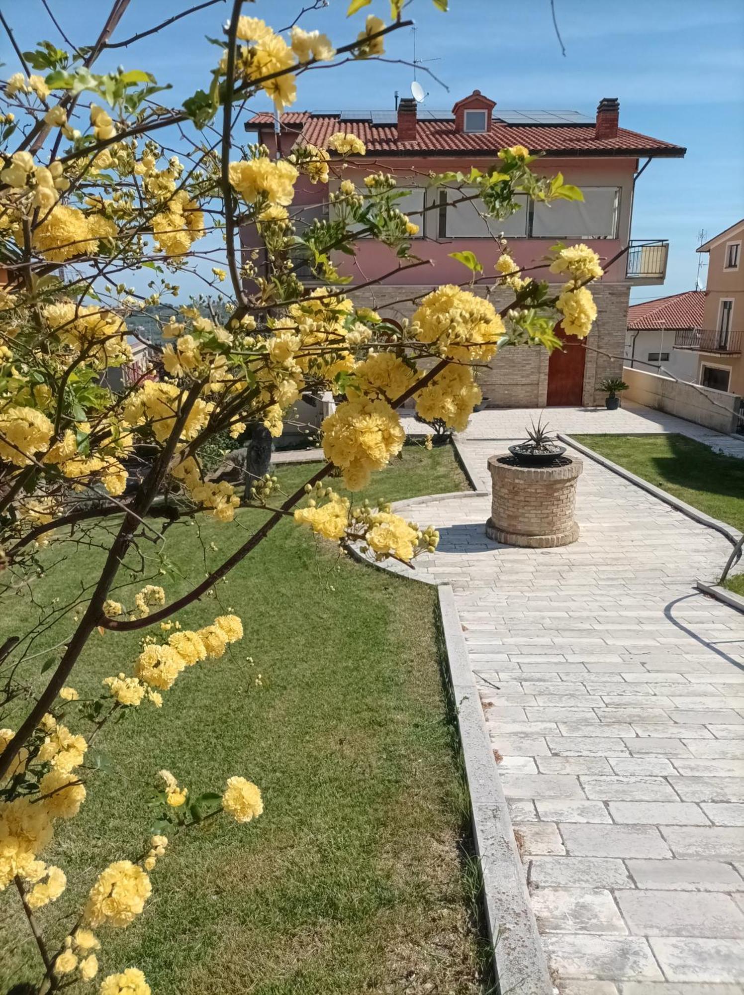 Villa Istonia Cupello Экстерьер фото